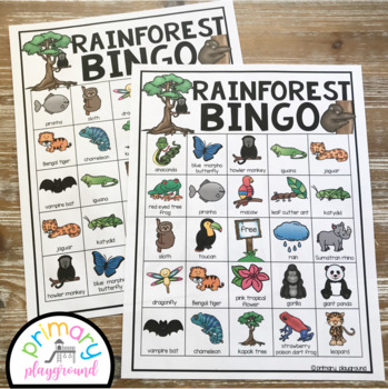 Rainforest bingo