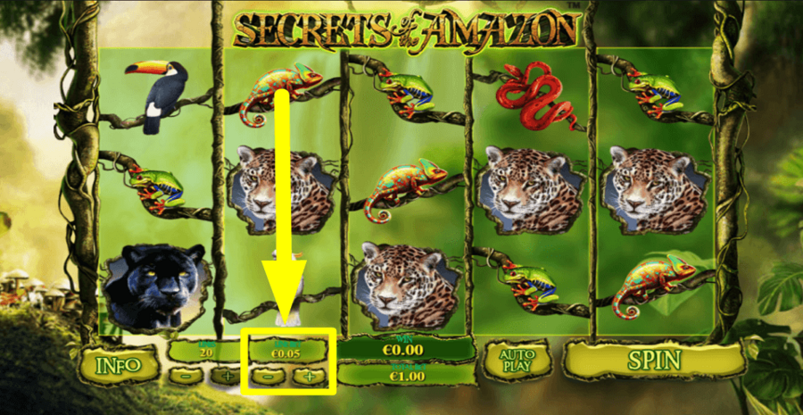 Secrets of the amazon playtech