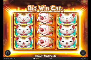Big win cat