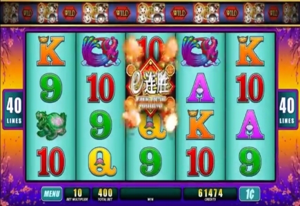 Wishing you fortune slot